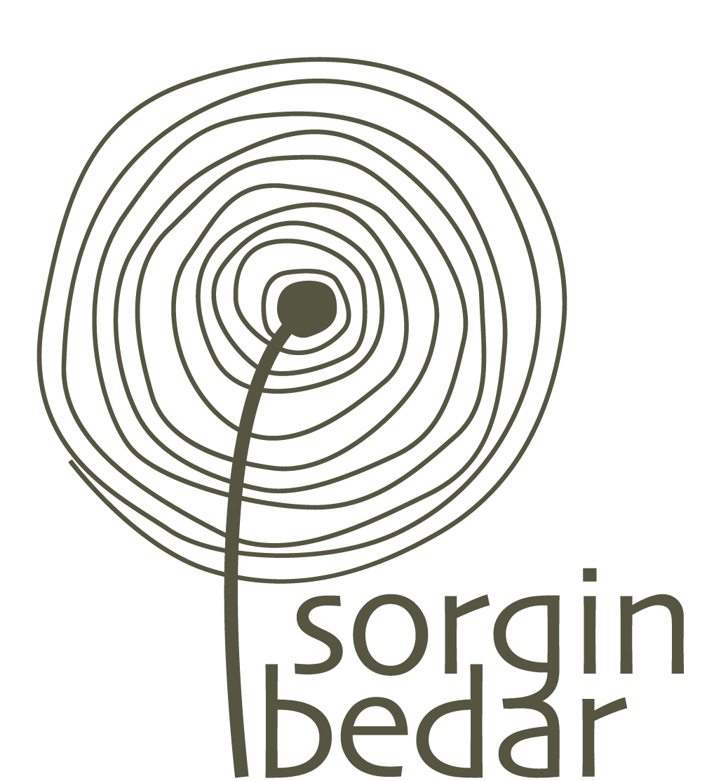 SorginBedar