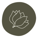 ilustraciones, fondos iconos-flor de loto